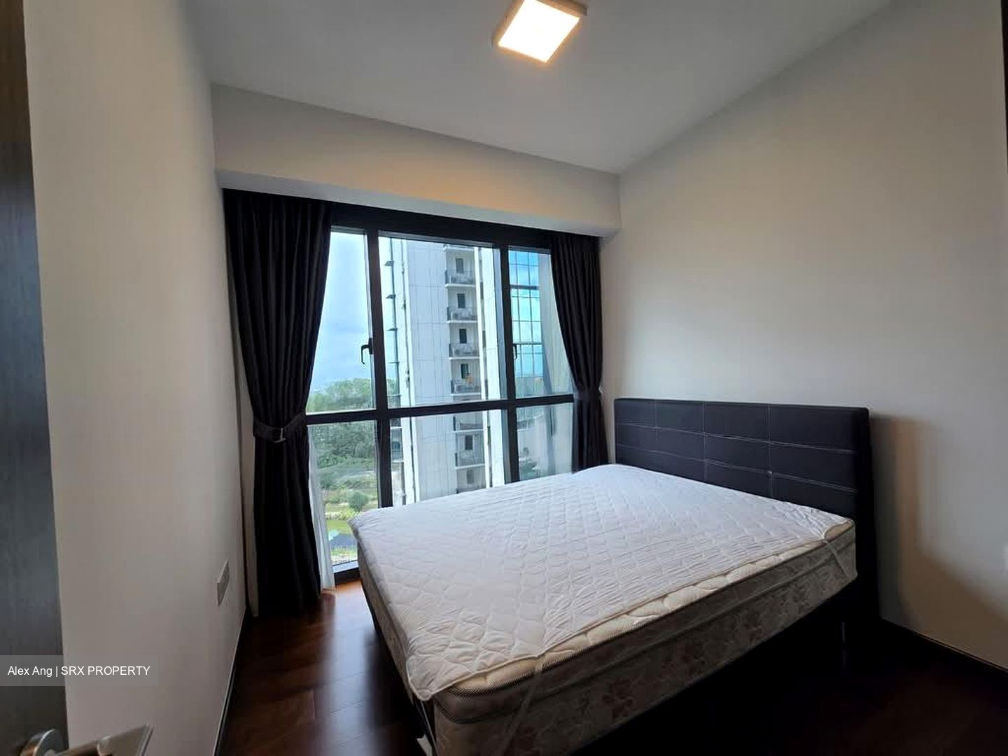 Normanton Park (D5), Apartment #554569451